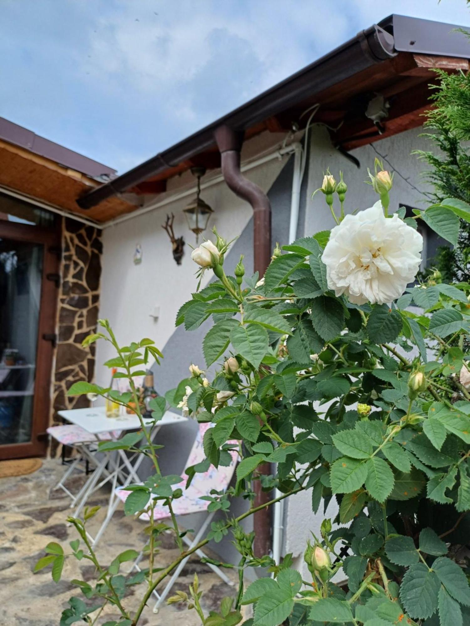 Cazare La Luiza B Sura Mare Exterior foto